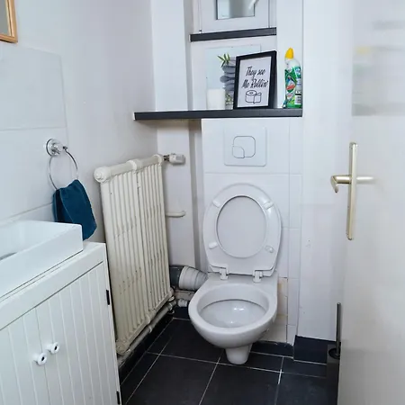 Apartman Avec Terrasse Dans Strasbourg