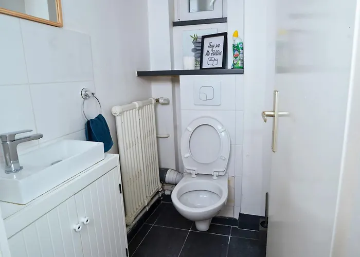 Apartman Avec Terrasse Dans Strasbourg